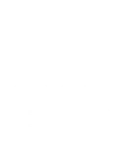 単体決算支援2
